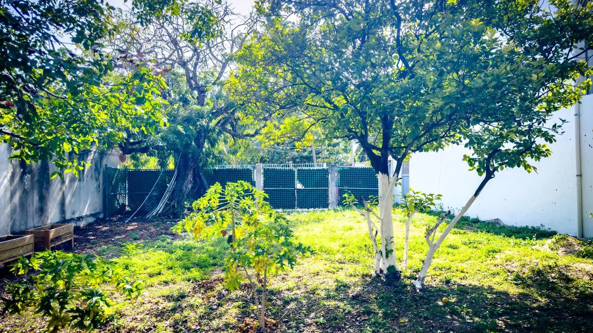 Casa Milo Isla Mujeres Appartement