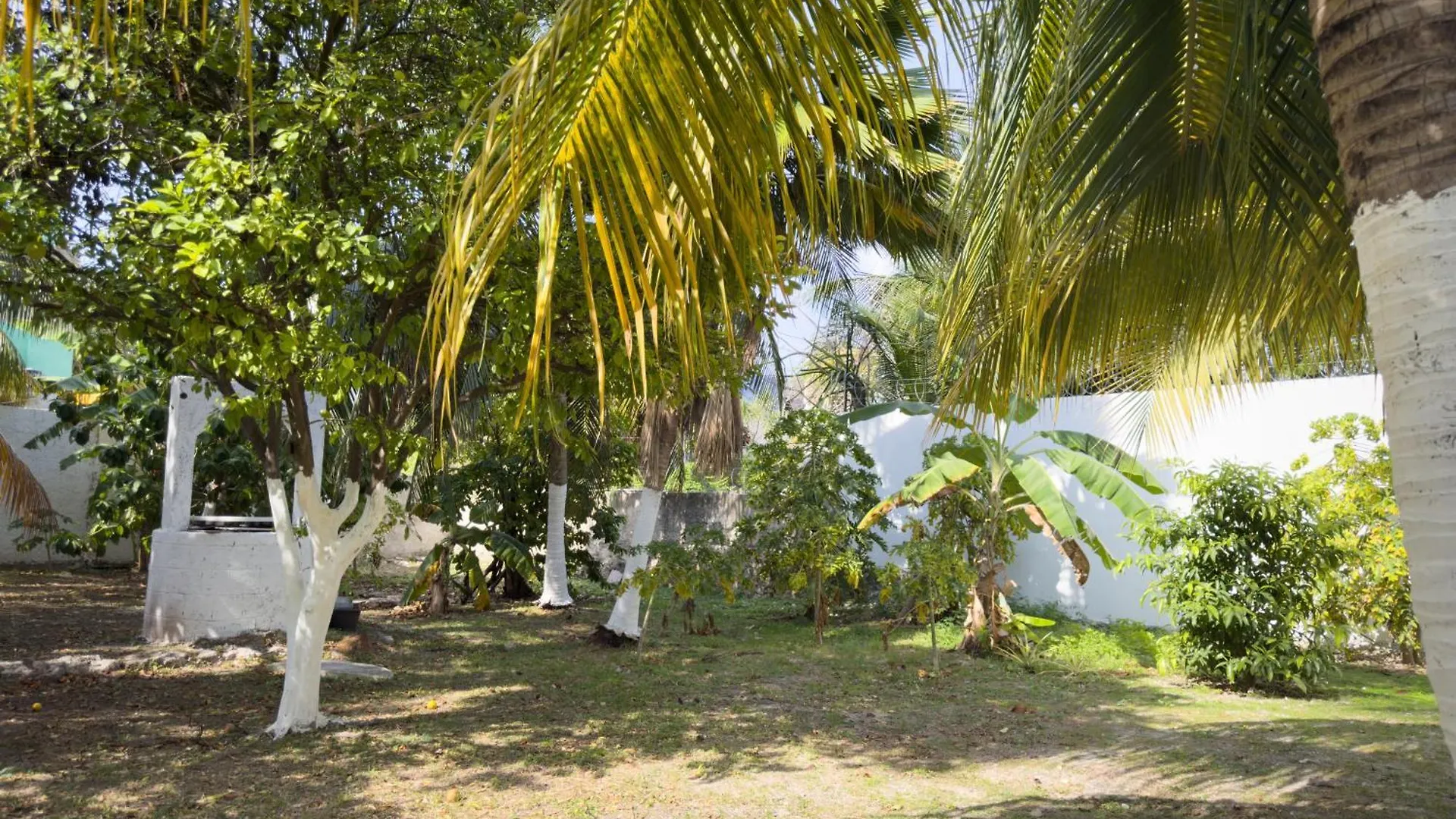 Casa Milo Isla Mujeres Appartement 0*,